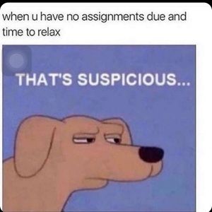 Meet your Posher, Morgan